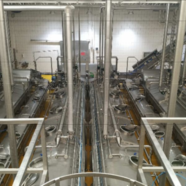 Рассольная ванна (бассейн) SV 220|20 с крышкой...