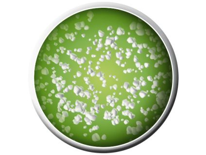 До применения гомогенизатора