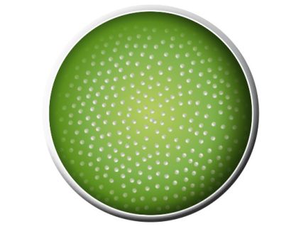 После применения гомогенизатора